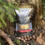 Kulki zanętowe Silent Killer Seria Excellent