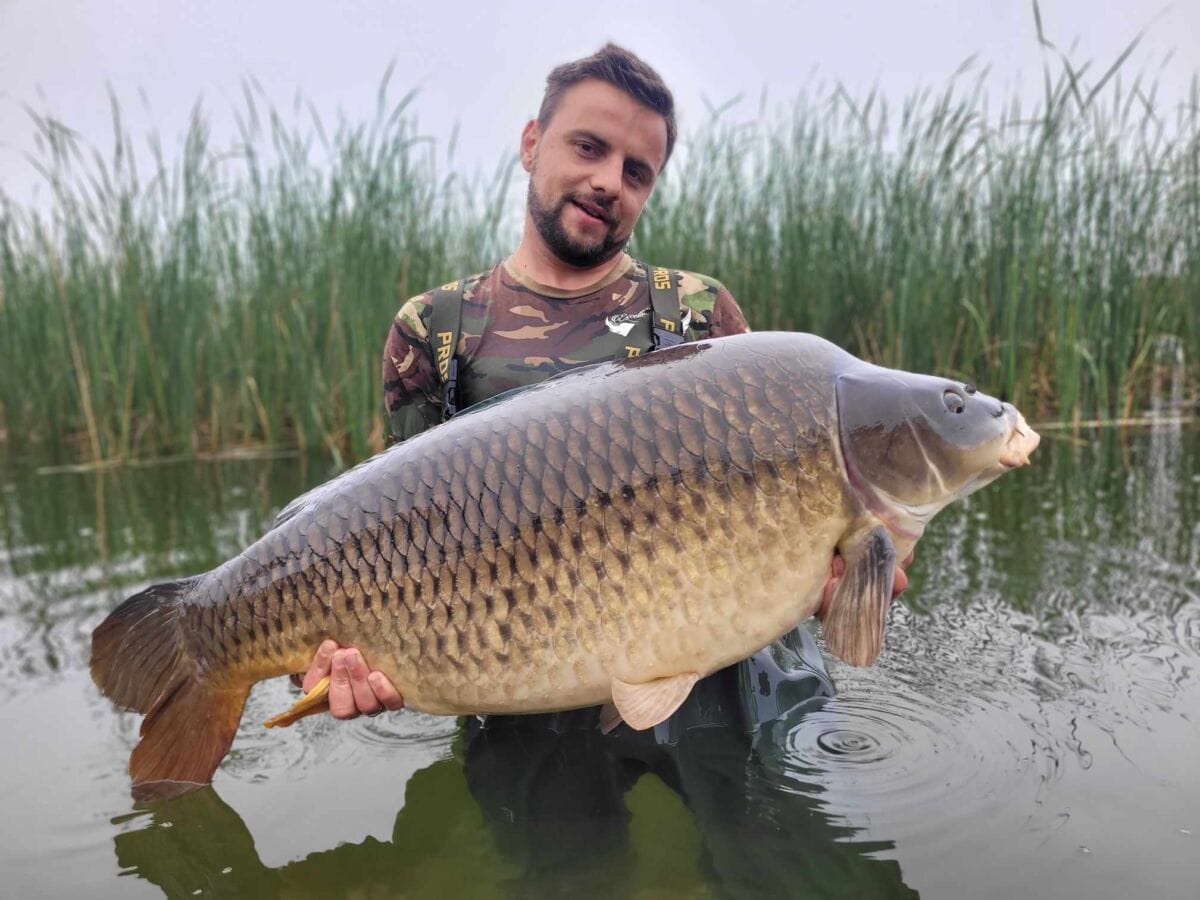 att.iAGdx6Sqo4rlnJPAZ88AGzVSF2nCj0qU-zZ0gj5wllY